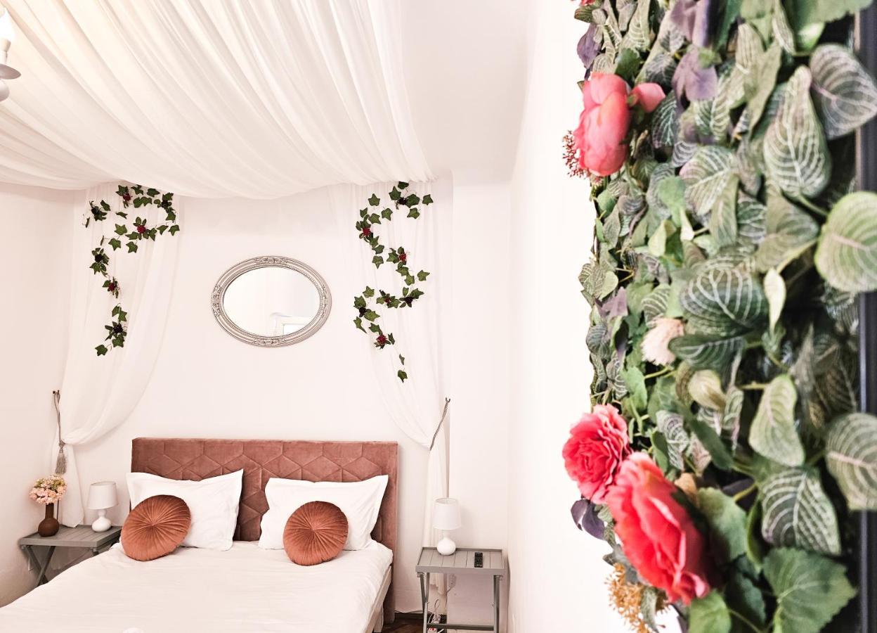 브라쇼브 Marigold Boutique 아파트 외부 사진